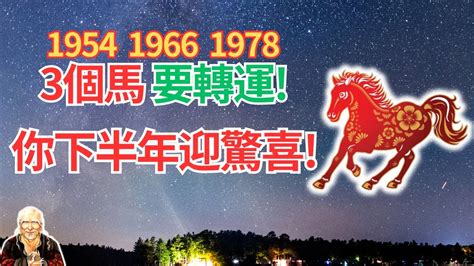 1978 屬|1978年屬馬是什麼命，1978年出生人的命運